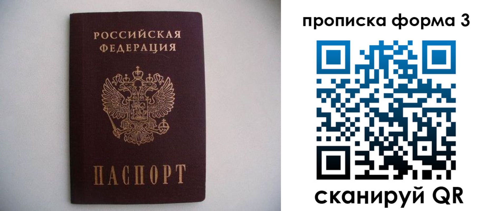 прописка в Вольске